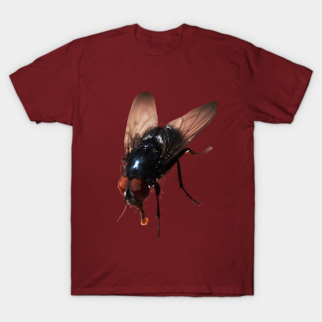 Pretty Giant Fly for Insect Lovers T-Shirt by Pirino